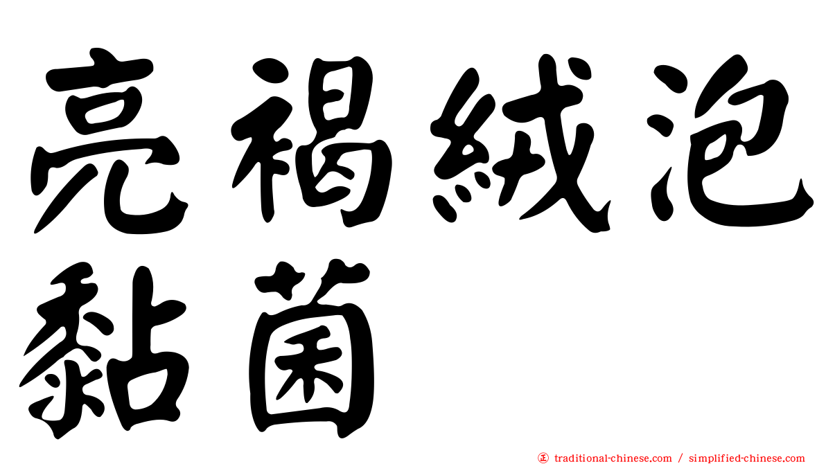 亮褐絨泡黏菌