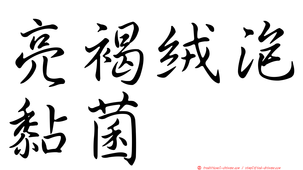 亮褐絨泡黏菌
