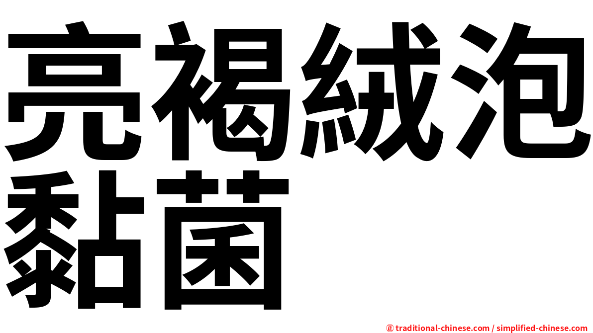 亮褐絨泡黏菌