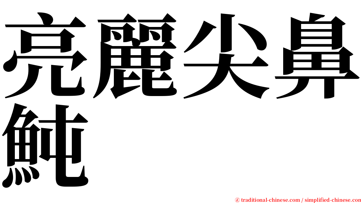 亮麗尖鼻魨 serif font