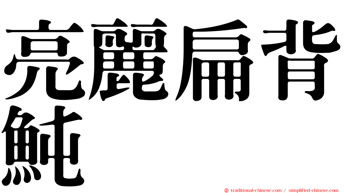 亮麗扁背魨