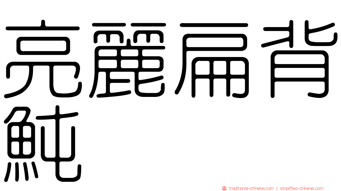 亮麗扁背魨