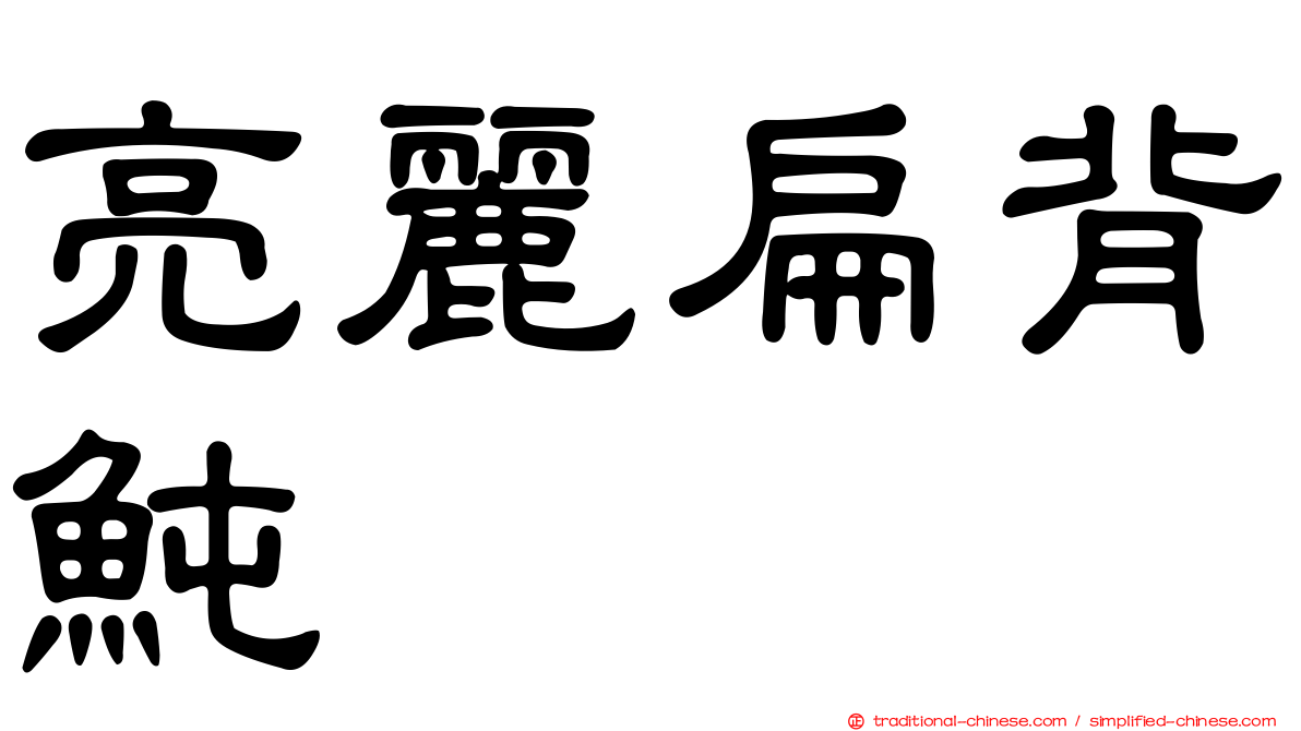 亮麗扁背魨