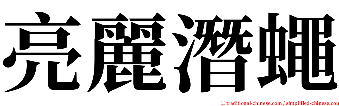 亮麗潛蠅 serif font