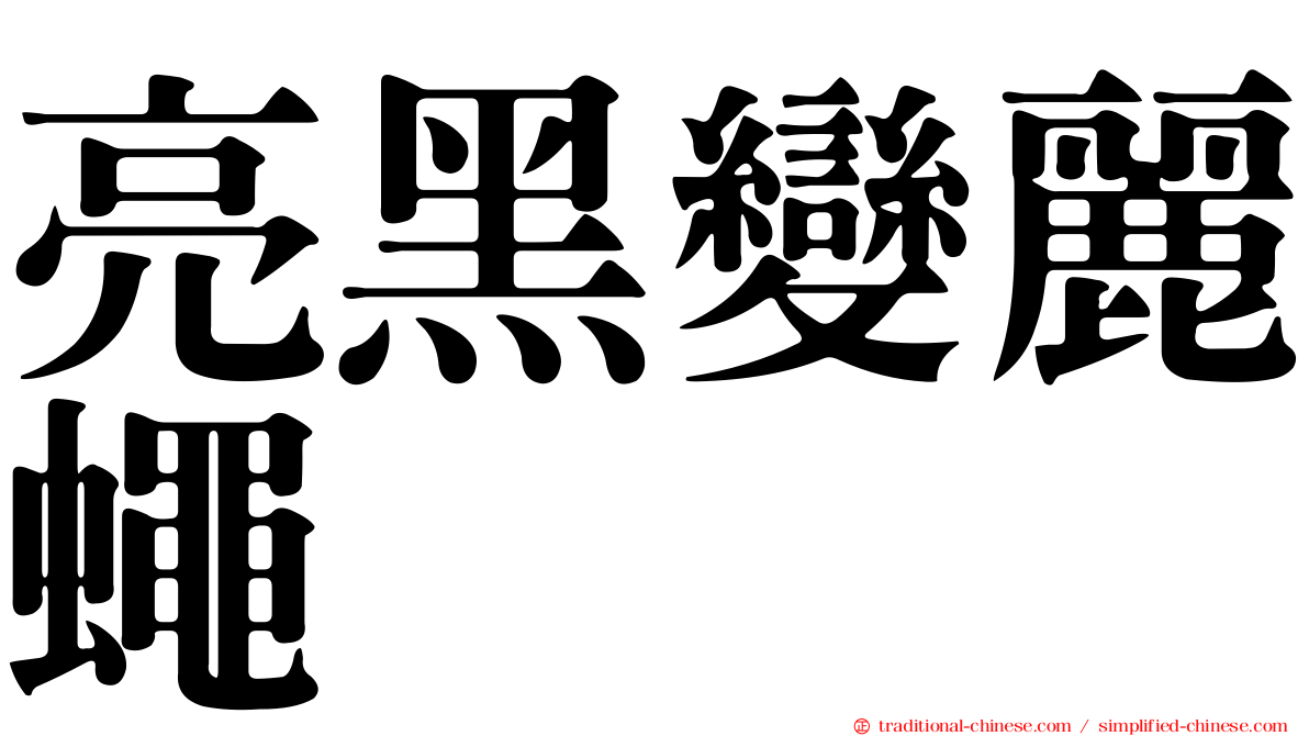 亮黑變麗蠅