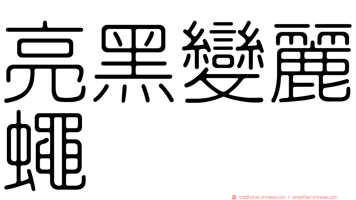 亮黑變麗蠅