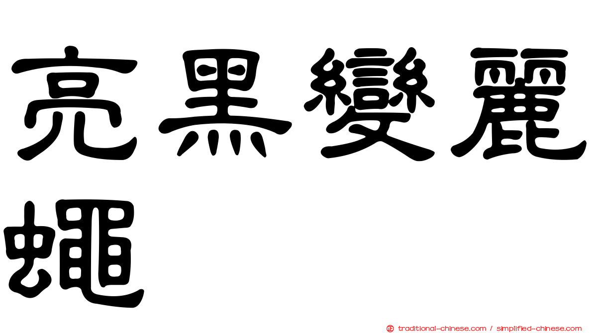 亮黑變麗蠅
