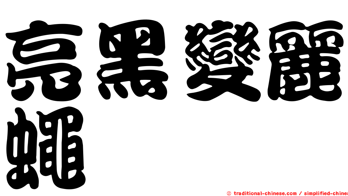 亮黑變麗蠅