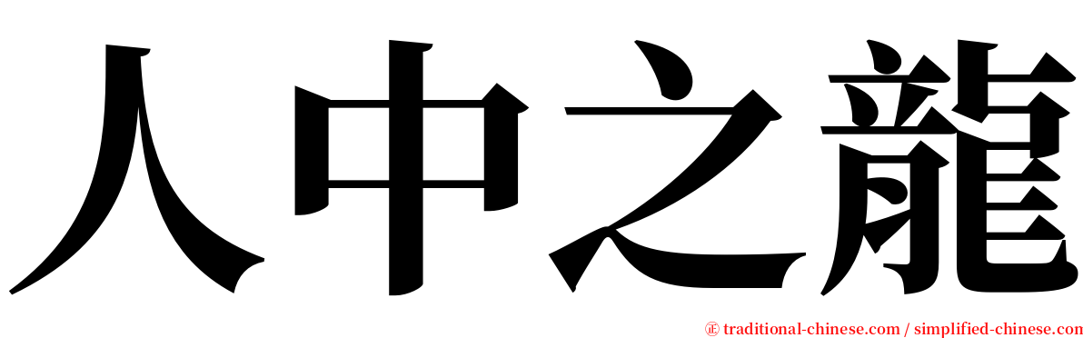 人中之龍 serif font