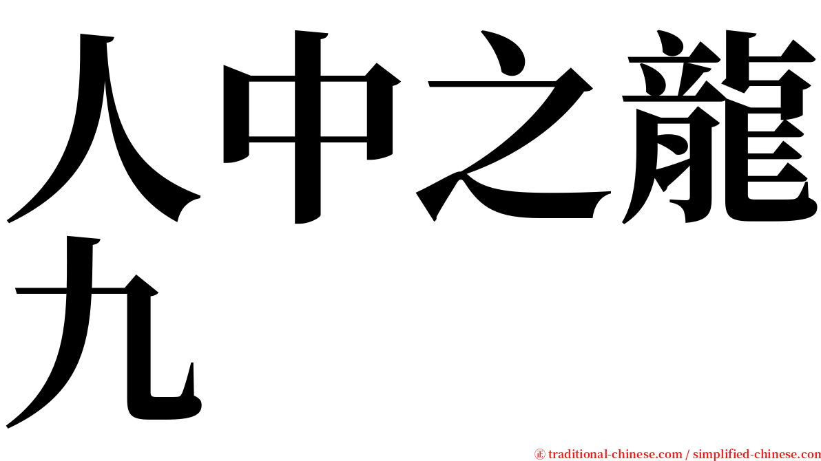 人中之龍九 serif font