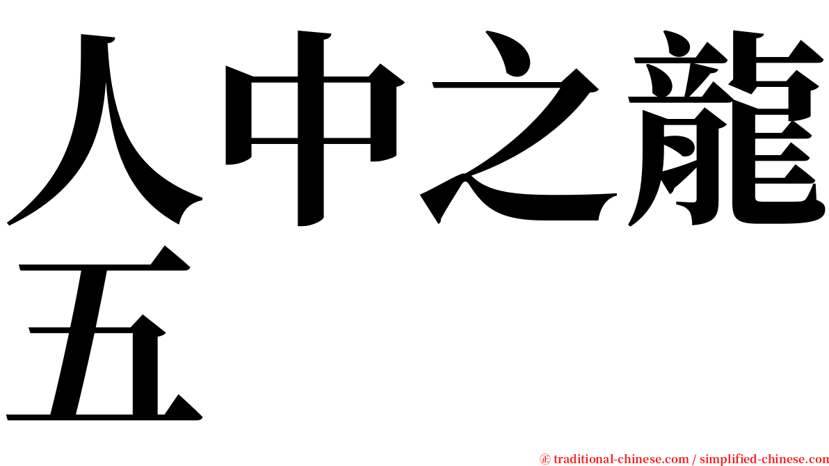 人中之龍五 serif font