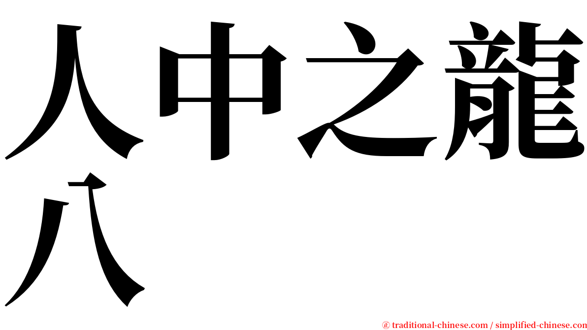 人中之龍八 serif font