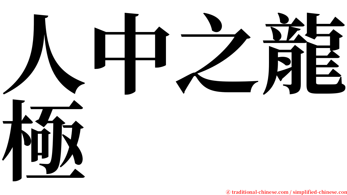 人中之龍極 serif font