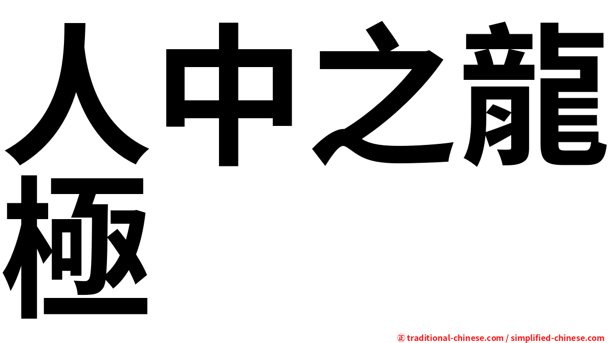 人中之龍極