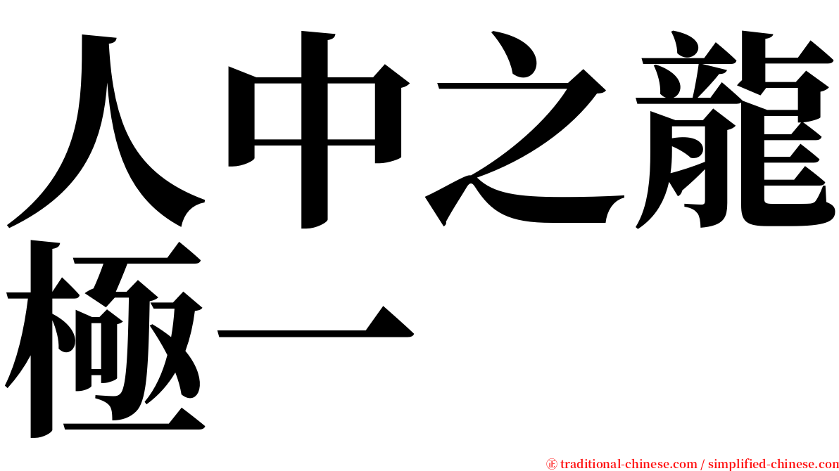 人中之龍極一 serif font