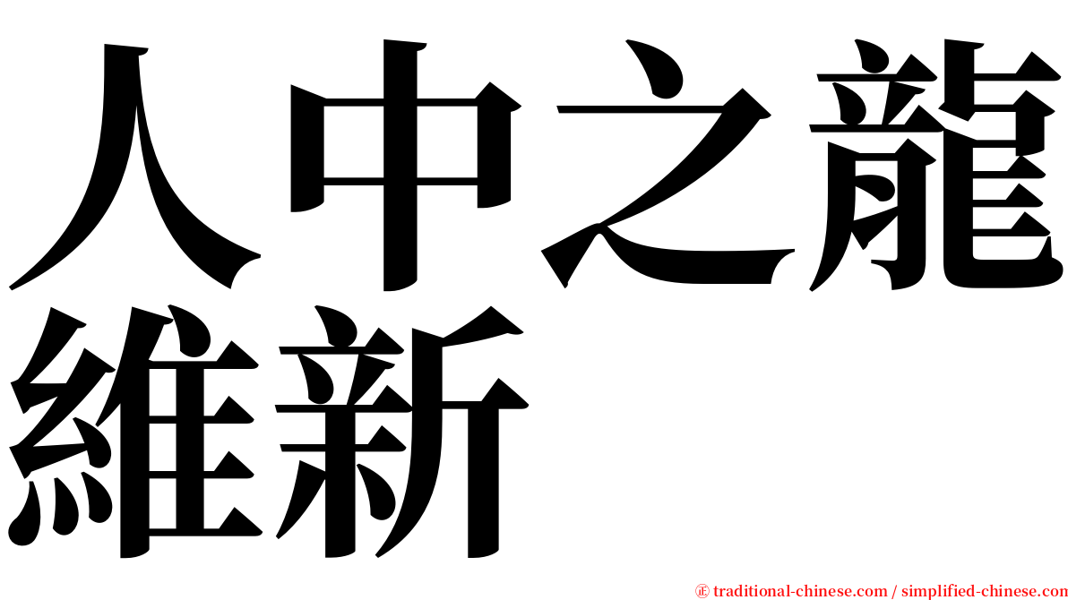 人中之龍維新 serif font