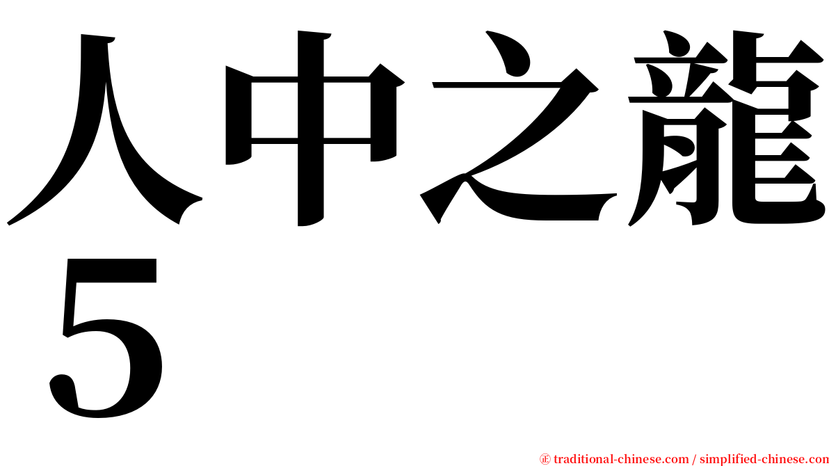 人中之龍５ serif font