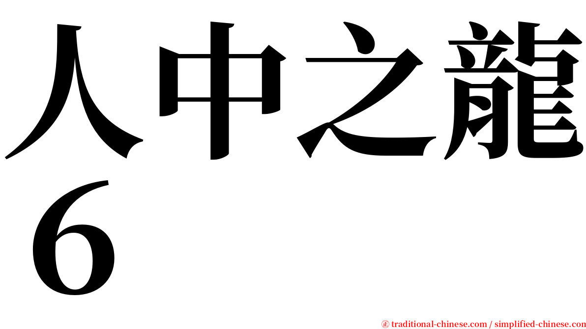 人中之龍６ serif font