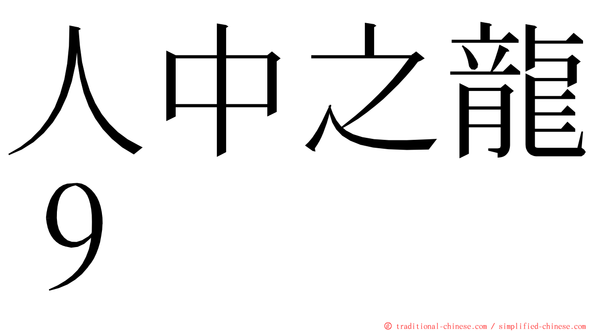 人中之龍９ ming font