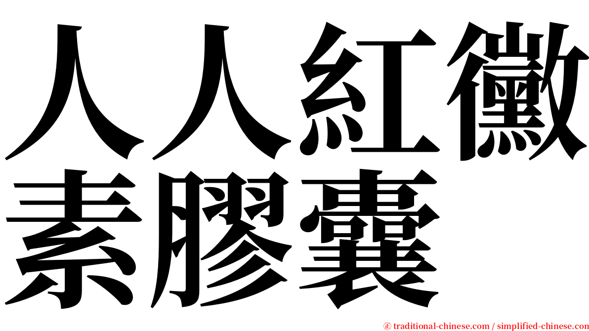 人人紅黴素膠囊 serif font