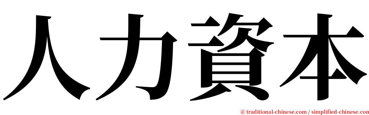 人力資本 serif font