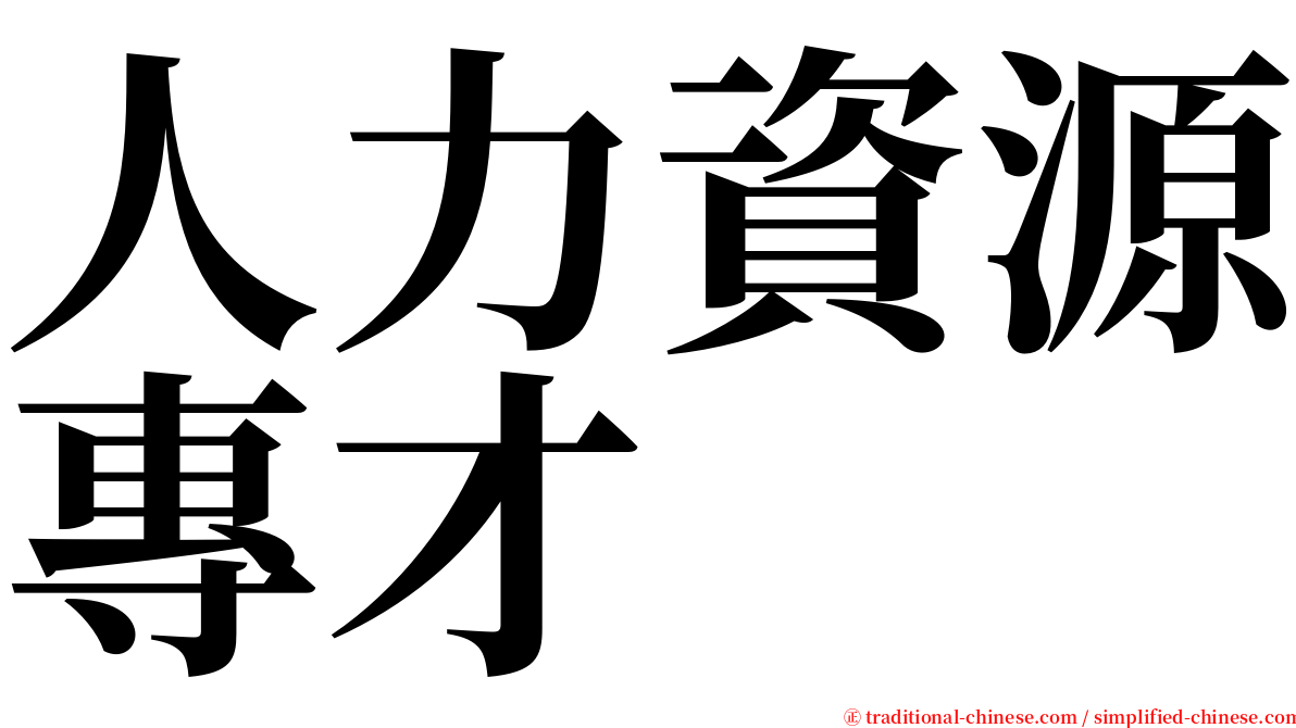 人力資源專才 serif font