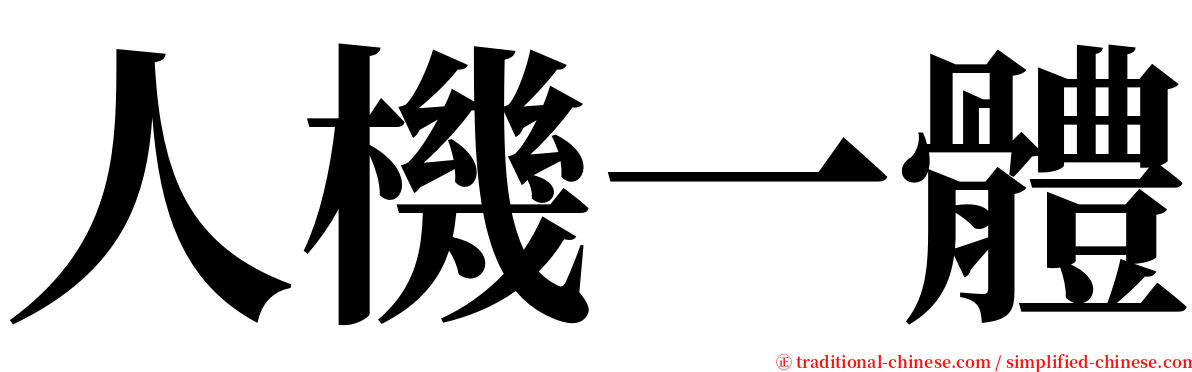 人機一體 serif font