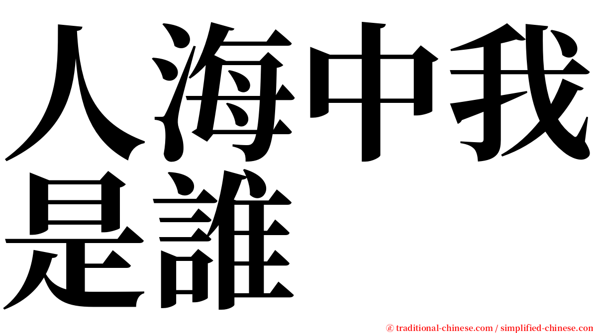 人海中我是誰 serif font