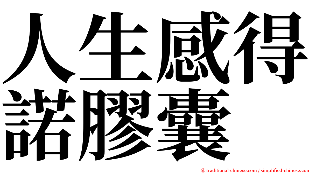 人生感得諾膠囊 serif font