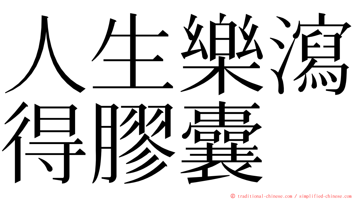 人生樂瀉得膠囊 ming font