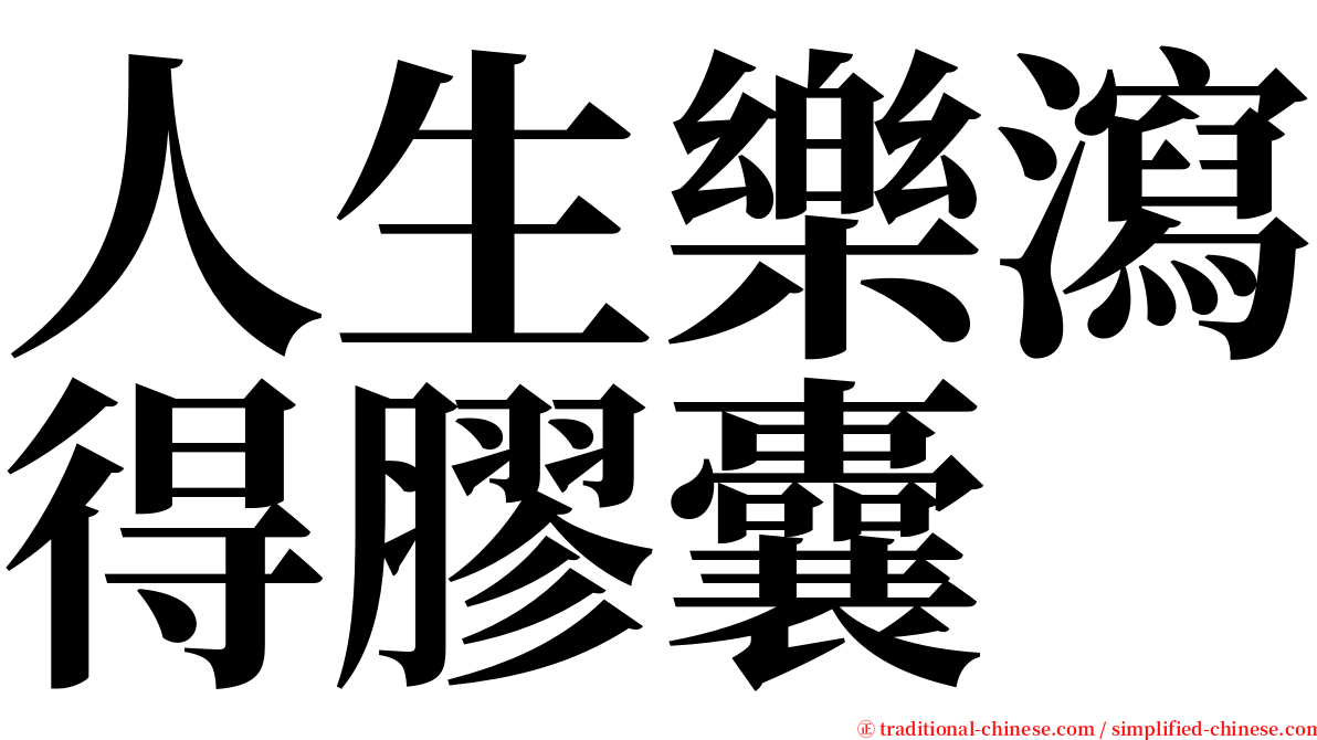 人生樂瀉得膠囊 serif font