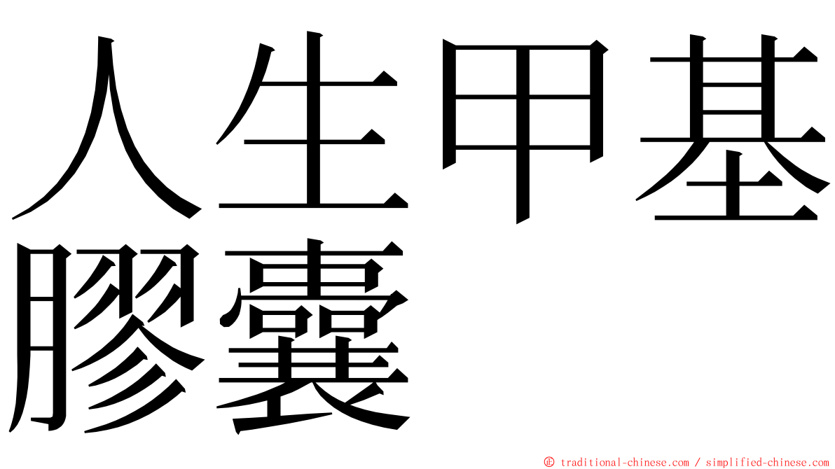 人生甲基膠囊 ming font