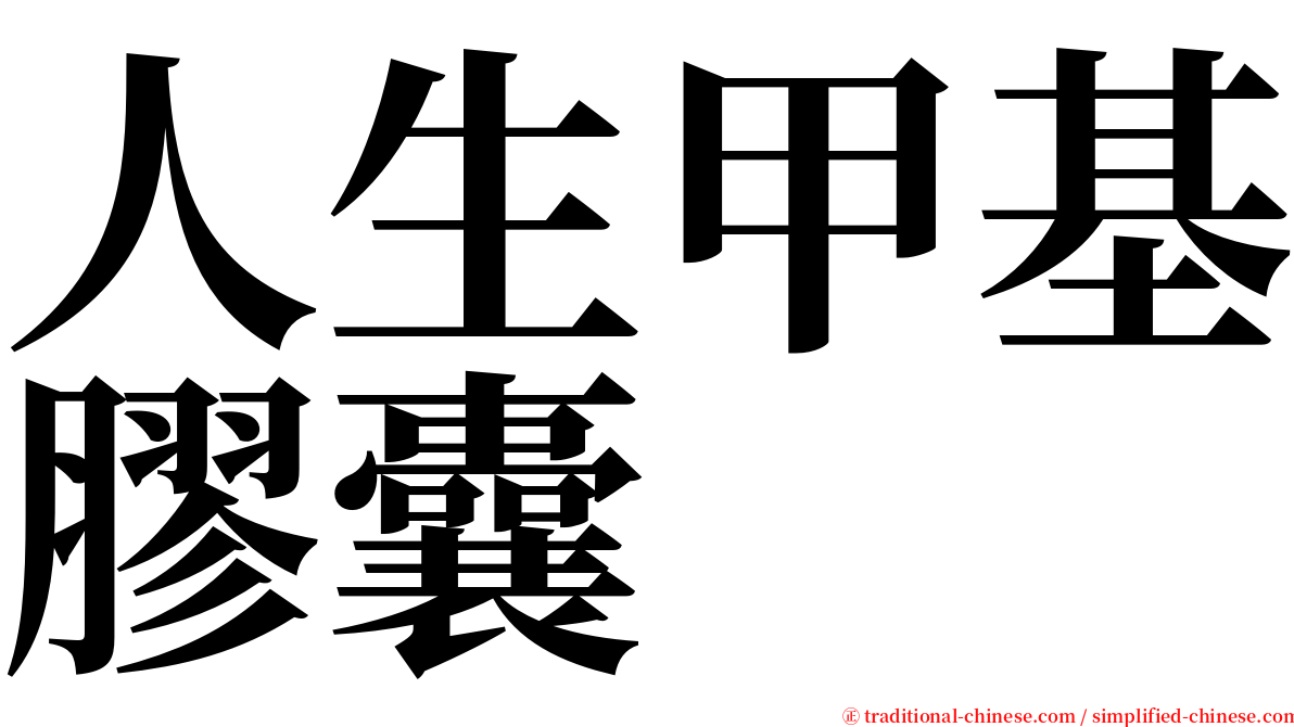 人生甲基膠囊 serif font