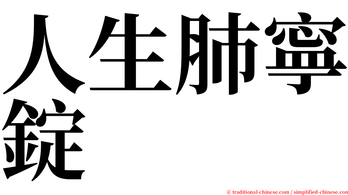 人生肺寧錠 serif font