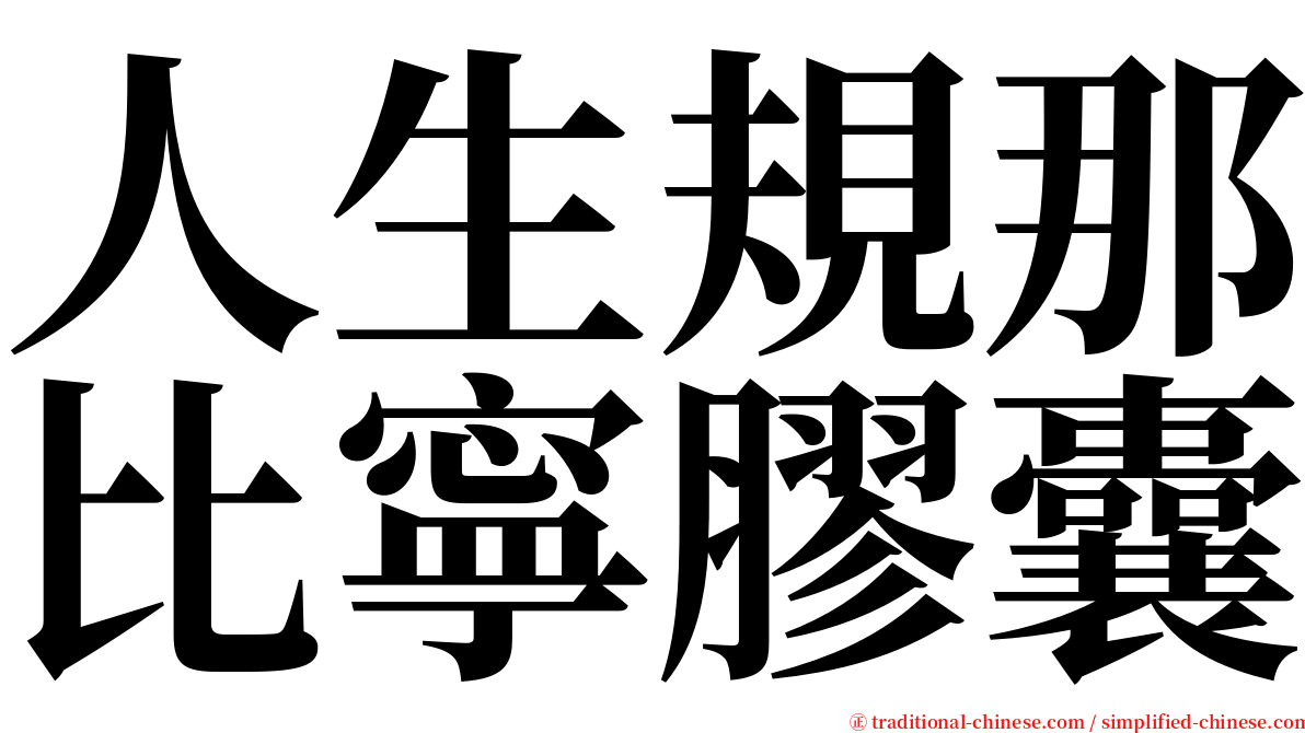 人生規那比寧膠囊 serif font