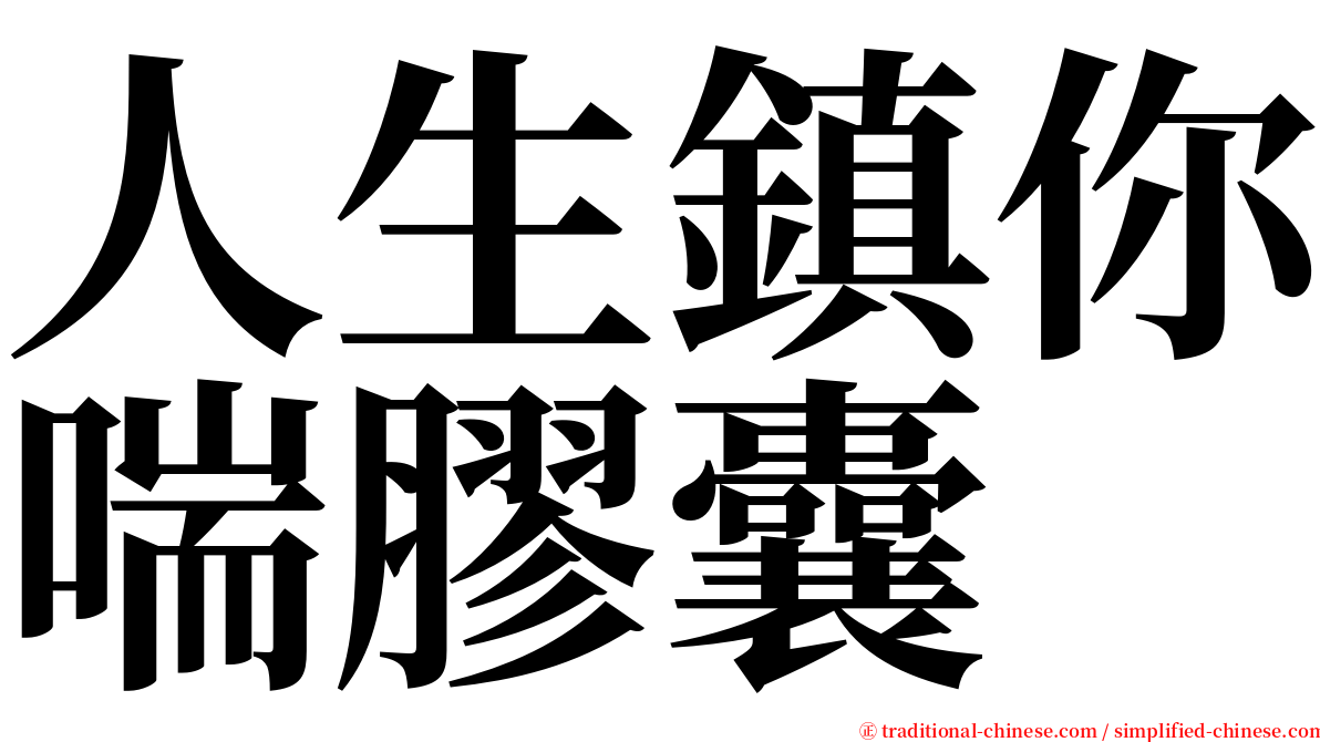 人生鎮你喘膠囊 serif font