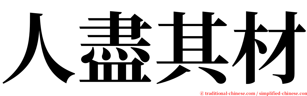 人盡其材 serif font