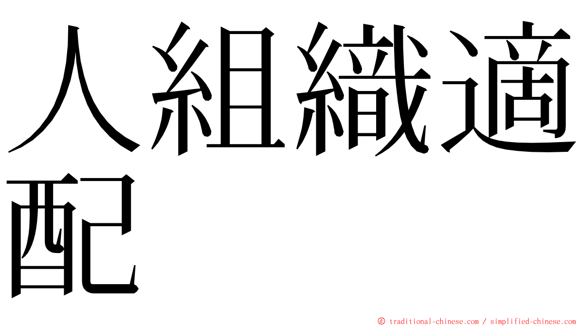 人組織適配 ming font