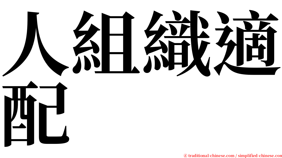 人組織適配 serif font