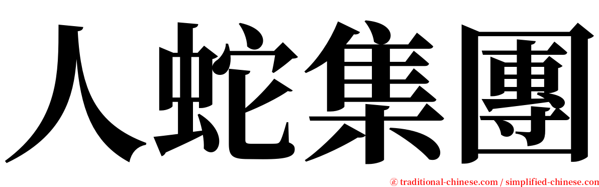 人蛇集團 serif font