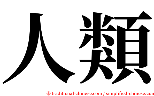 人類 serif font