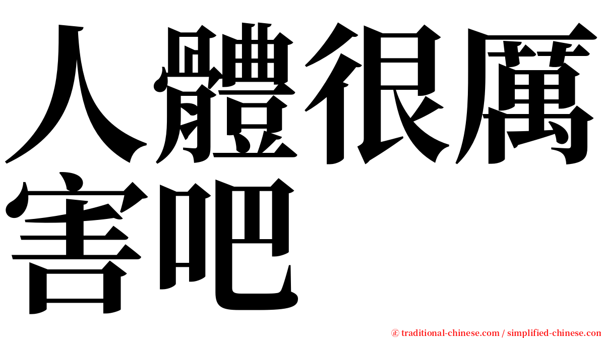 人體很厲害吧 serif font