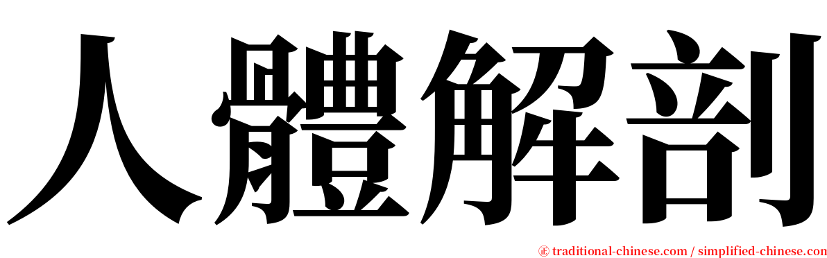 人體解剖 serif font