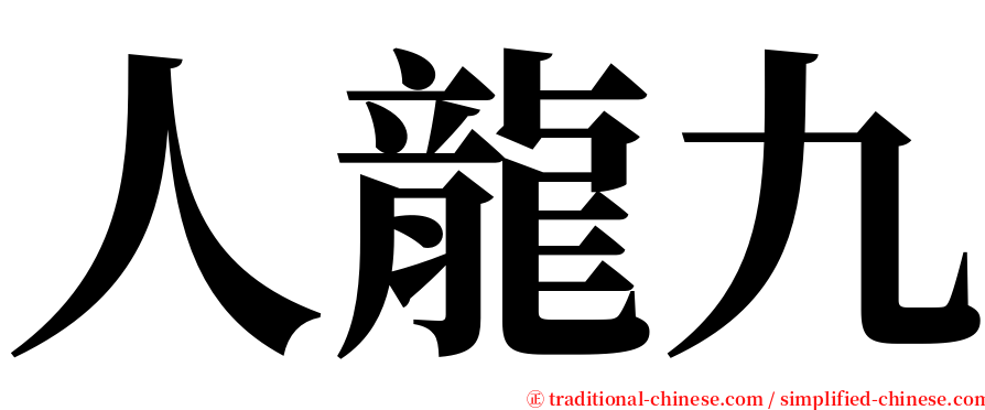 人龍九 serif font