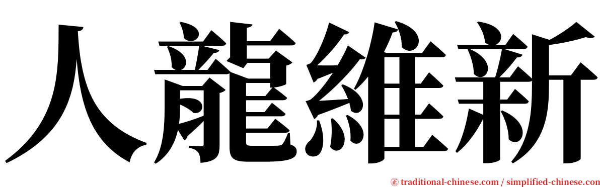 人龍維新 serif font