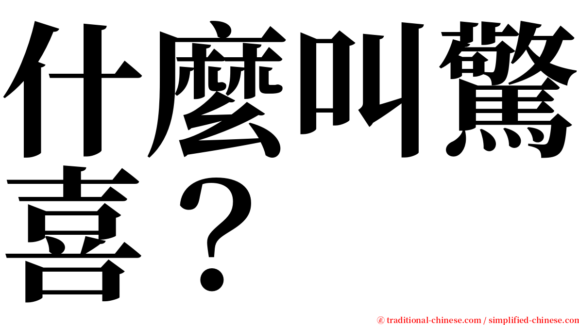 什麼叫驚喜？ serif font