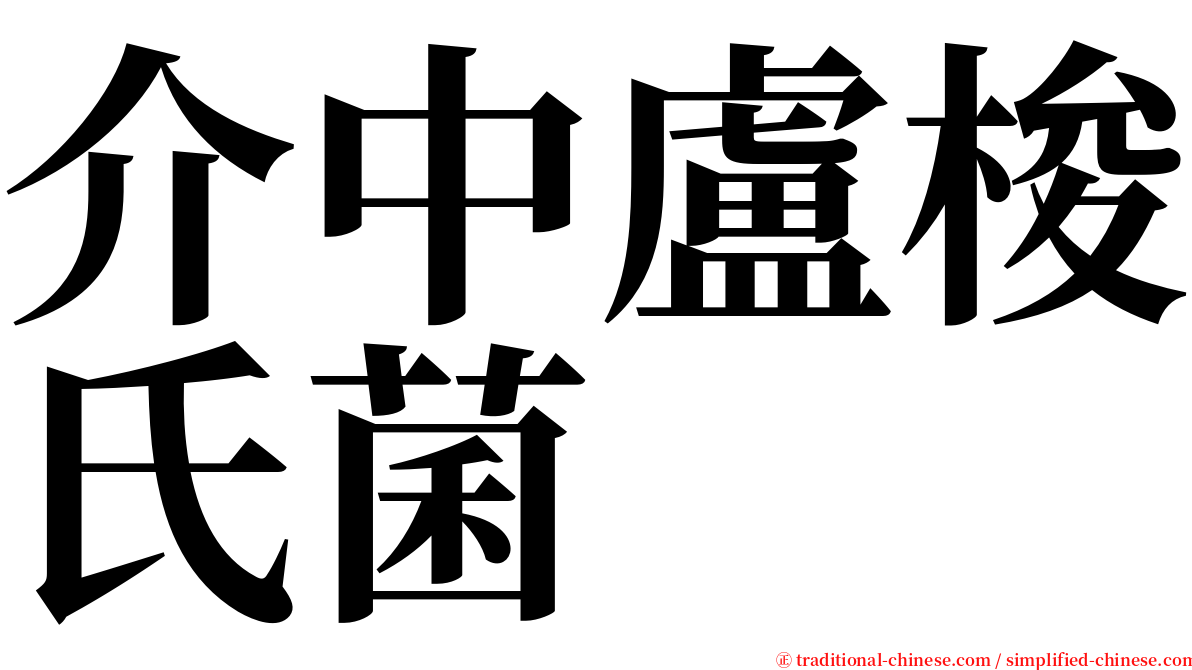 介中盧梭氏菌 serif font