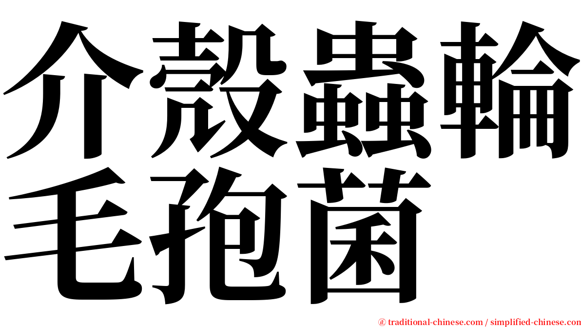 介殼蟲輪毛孢菌 serif font