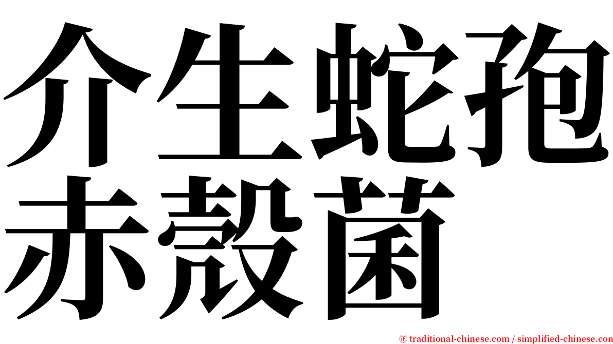 介生蛇孢赤殼菌 serif font