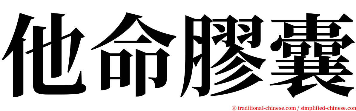 他命膠囊 serif font